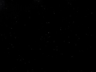 Flying dust particles on a black background. Stars in summer days 