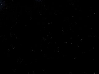 Flying dust particles on a black background. Stars in summer days 