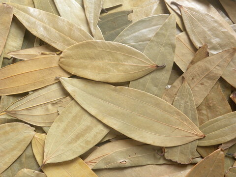 Brown color whole dry Bay leaves