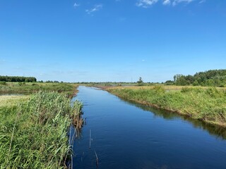 Okolice Włodawy zachwycają przepiękną przyrodą oraz krajobrazem