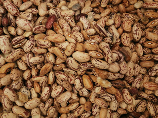 Background of raw and roasted, unsalted soy bean nuts close up