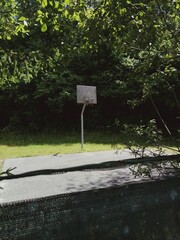 road sign in the forest