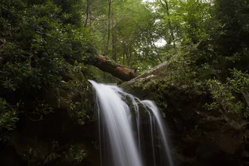 Foto op Canvas Smoky Mountain Waterfall © Jake Summerville