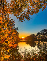 Beautiful sunset on lake water with tree at fall season