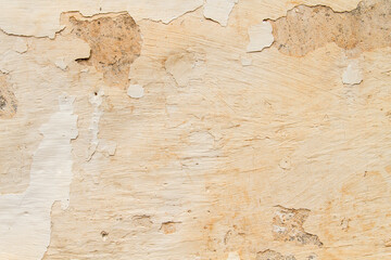 Detail of old peeling wall
