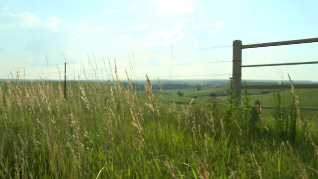 Sun on grass near a fence on a ranch in Kansas.