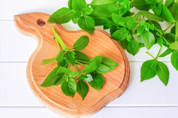 sprigs of fresh basil on a chopping Board on the table above. background with fresh basil sprigs close-up.