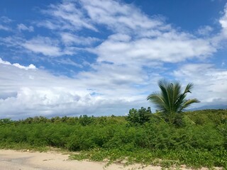 Fototapeta premium Dreamlike scenery of the Caribbean sea at Playa Ancon in Cuba: Hidden travel destination with blue sky and a coastline with a white sandy beach