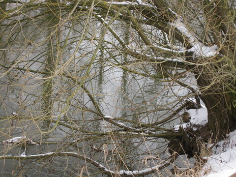 Rednitz im Winter