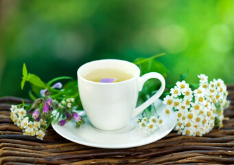 Herbal tea with achillea salicifolia flowers in a white cup on a green bokeh background. Garden tea ceremony. 