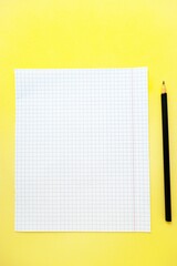 A white sheet of notebook paper in a cage on a bright yellow background with a black slate pencil.