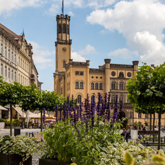 Fototapeta premium Marktplatz Zittau