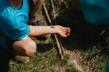 resting grasshopper on child's arm