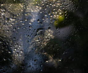 Rain drops on window