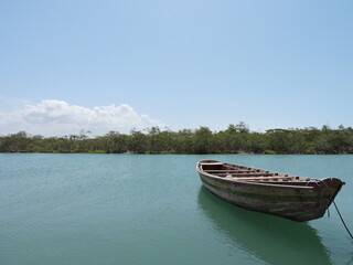 Fototapeta na wymiar Boat alone on lake in Brazil
