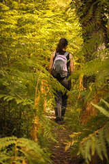 young woman hiking in a forest