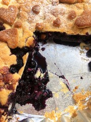 Delicious blueberry pie on the table macro 