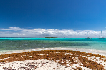Saint Vincent and the Grenadines, Sailboats on mooring in Tobago Cays