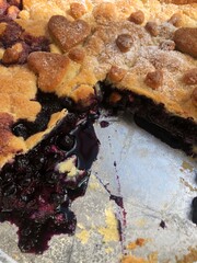 Delicious blueberry pie on the table macro 
