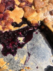 Delicious blueberry pie on the table macro 