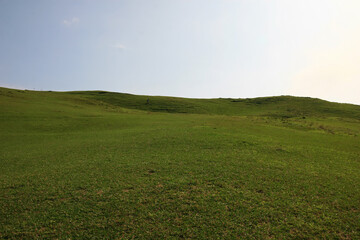 Sunny view of the beautiful grassland of Taoyuan Valley