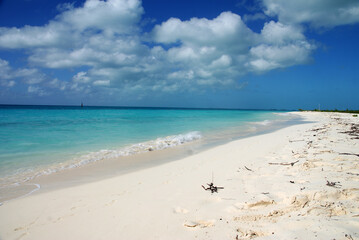 Fototapeta na wymiar Caribbean white beaches on the islands of Cuba