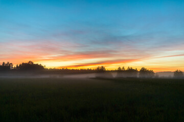 Naklejka na ściany i meble Beautiful scenery of foggy grass field in the break of dawn
