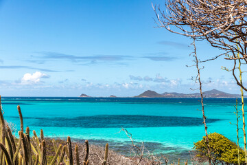 Obraz premium Saint Vincent and the Grenadines, Tobago Cays
