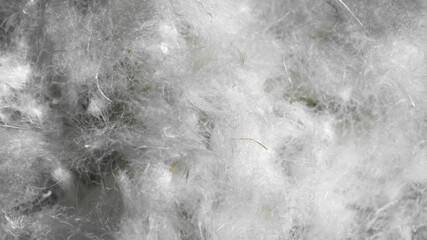 white duck down. texture or background © Krzysztof Bubel