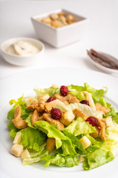 Salad with toast, anchovy and sauce on white plant and white background