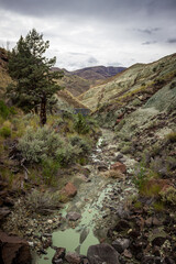 Obraz premium John Day Fossil Beds National Monument Mountains and Rock Features