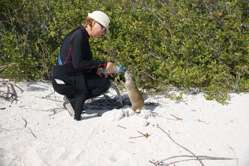 feeding and drinking water for Cuban huts on uninhabited islands