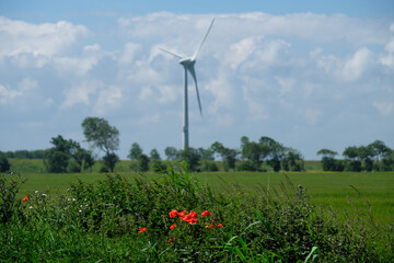 Ostfriesische Landschaft mit hohem Gras und Mohnblumen und Windkraftanlage - Stockfoto 