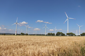 power field