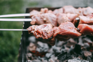 Cooking barbecue skewers. Marinated kebab is grilled on charcoal. Pork Shish kebab cooking outdoor. Close-up 