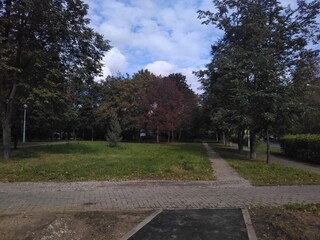 path in the park