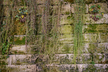 An old wall of gray stone blocks covered with green moss. Texture. No people.