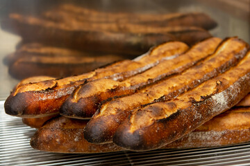 焼きたてのバゲット　フランスパン
