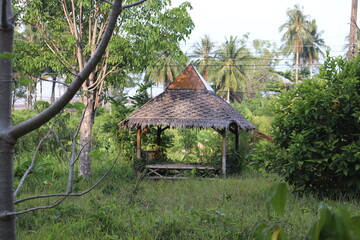 Jungle Bungalow