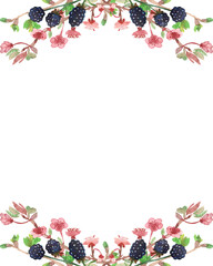 Watercolor hand painted nature floral berry garden banner frame with blackberry, pink apple blossom flowers and green leaves on branch bouquet on the white background for invitation and greeting card