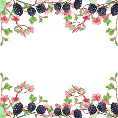 Watercolor hand painted nature floral garden squared frame with blackberry, pink apple blossom flowers and green leaves on branches composition on the white background with the space for text
