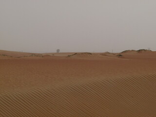 Fototapeta na wymiar Desert after a sandstorm. Travel by car through the desert in the United Arab Emirates. 