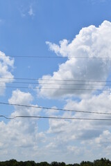 Power Lines