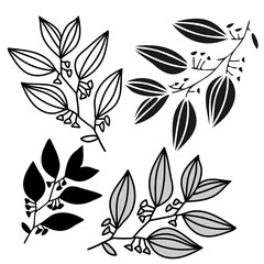 Isolated black and white vector design of tropical leaves, lined, silhouette