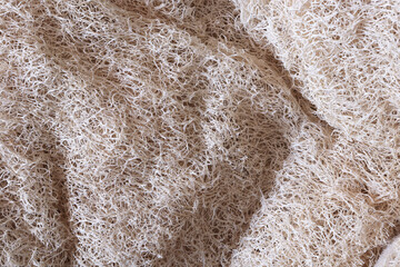 Natural sponge for cleaning and washing the body close-up. Cleansing beauty product
