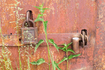 rusty old metal barn door