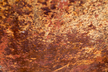 rusty metal old sheet for background. rusty texture
