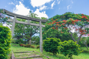 Ancient stone torii and beautiful poinciana in the "Sisal Industry Historical Monument", pingtung, Taiwan