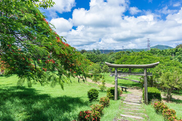 Ancient stone torii and beautiful poinciana in the 