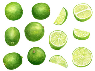 Watercolor lime set. Hand painted botanical illustration of slices, green citrus fruits isolated on white background. Juicy fresh limes clip art for food package, decoration